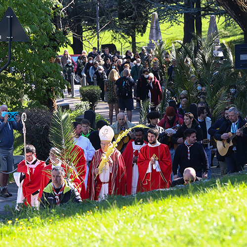 Palme processione